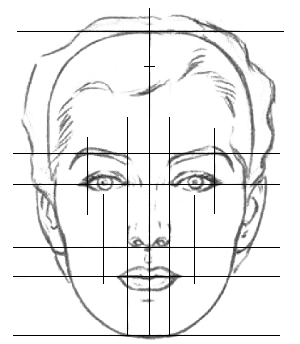 Proportions of the face